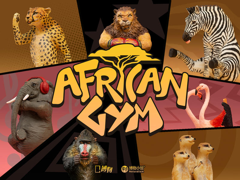 什么季节的狗狗好